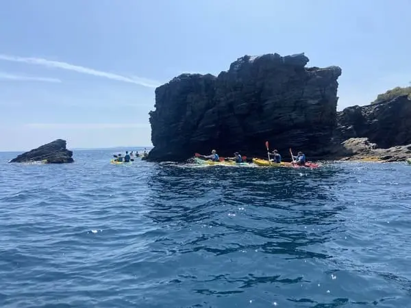 kayak en roses